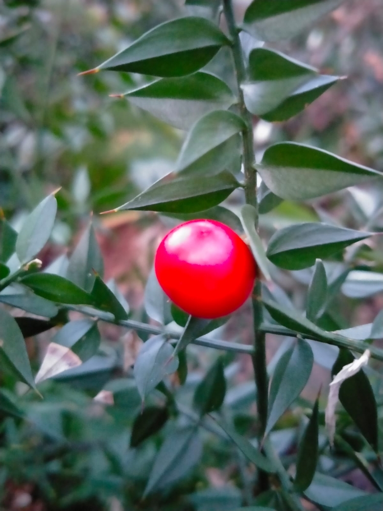 И снова весеннее настроение!, фото 8