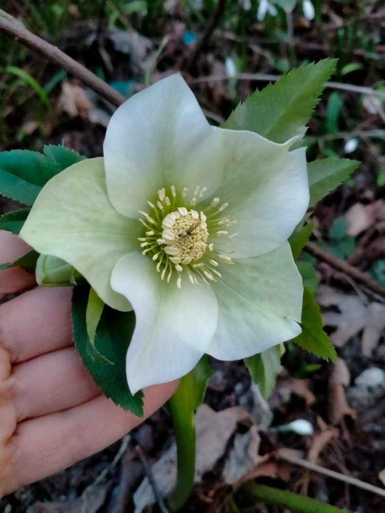 И снова весеннее настроение!, фото 1