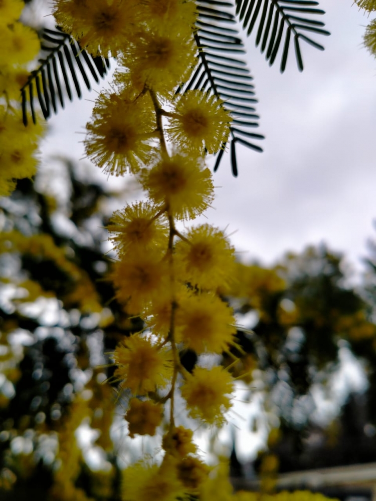 И снова весеннее настроение!, фото 7