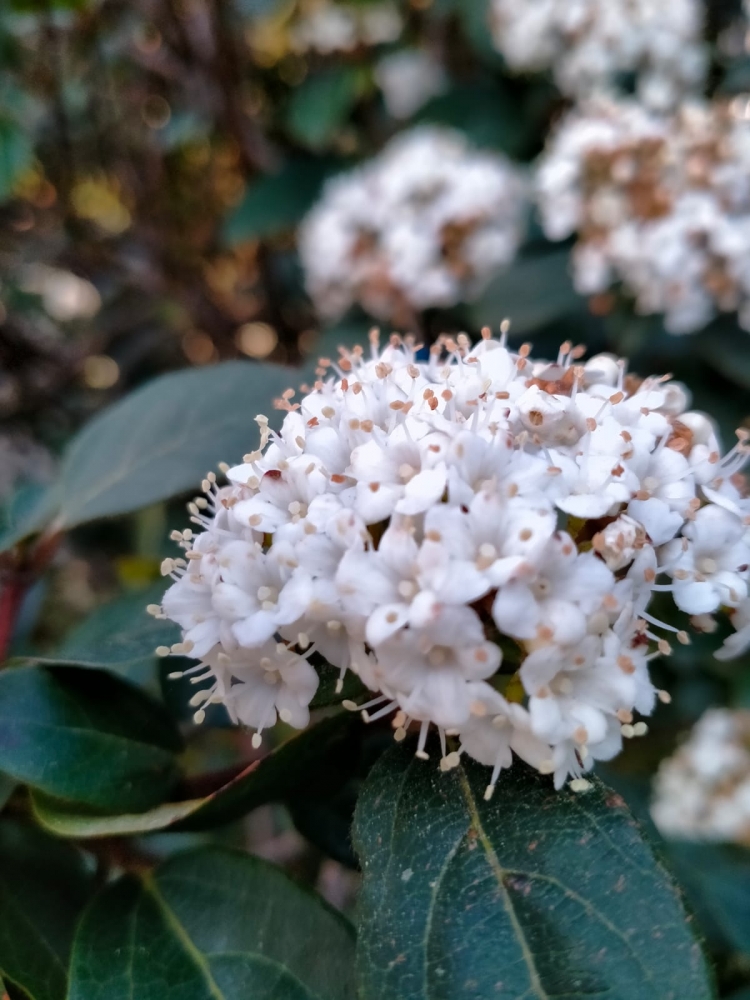 Краски весны, фото 1