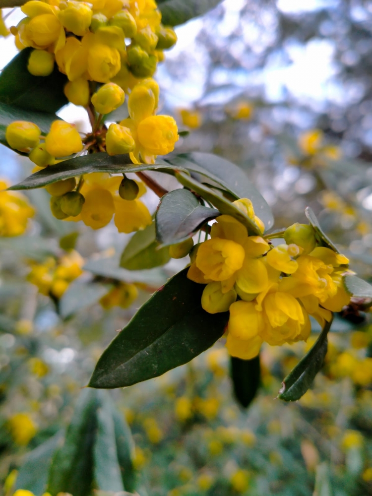 Краски весны, фото 4