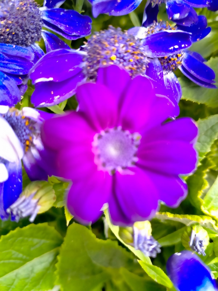 Весна идёт, весне дорогу!, фото 2