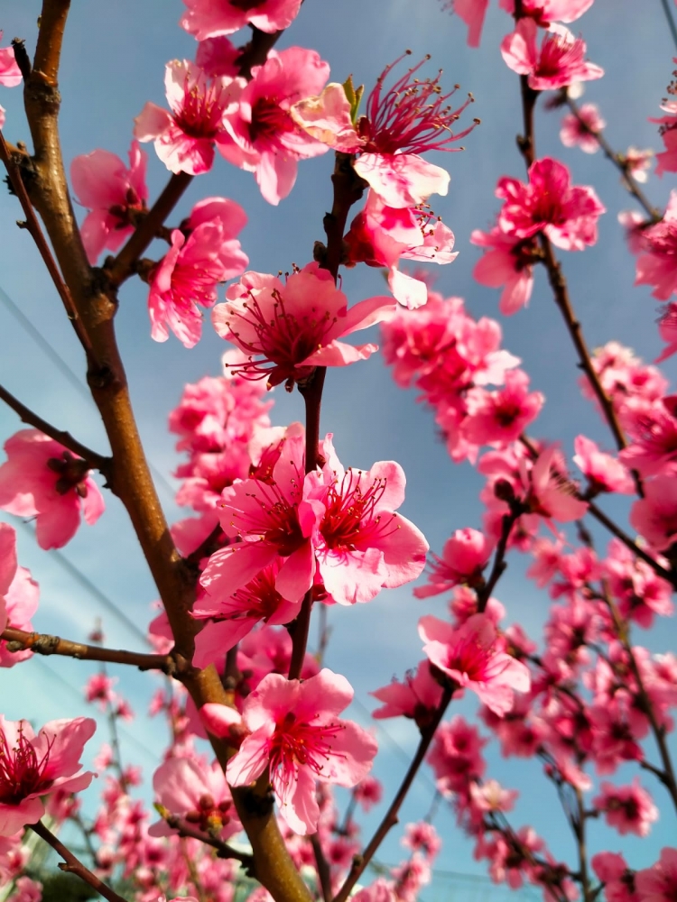 Краски весны, фото 9