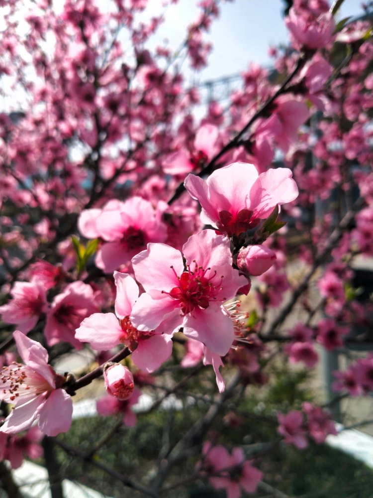 Краски весны, фото 10