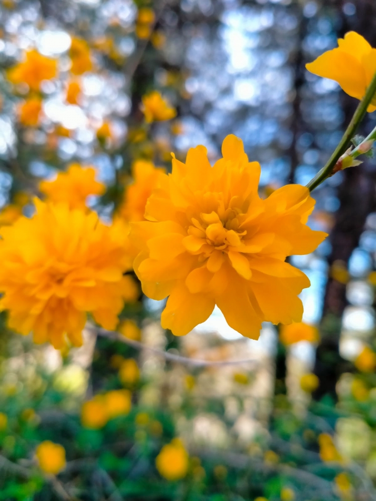 Краски весны, фото 8