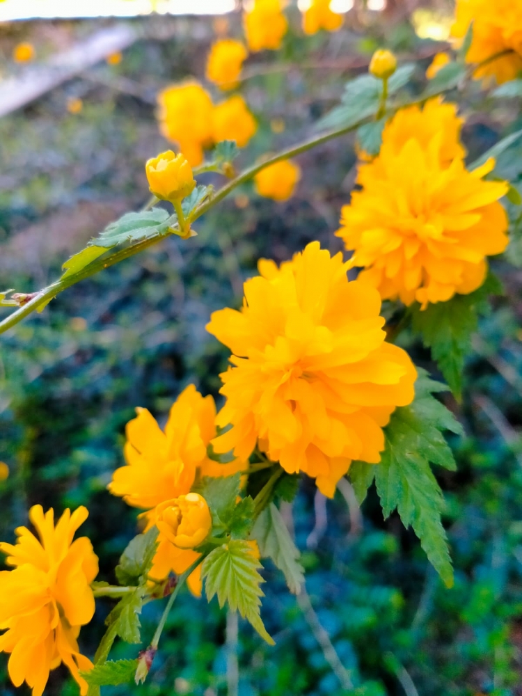 Краски весны, фото 11