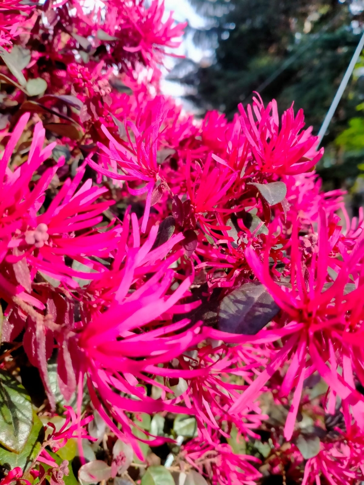 Краски весны, фото 12