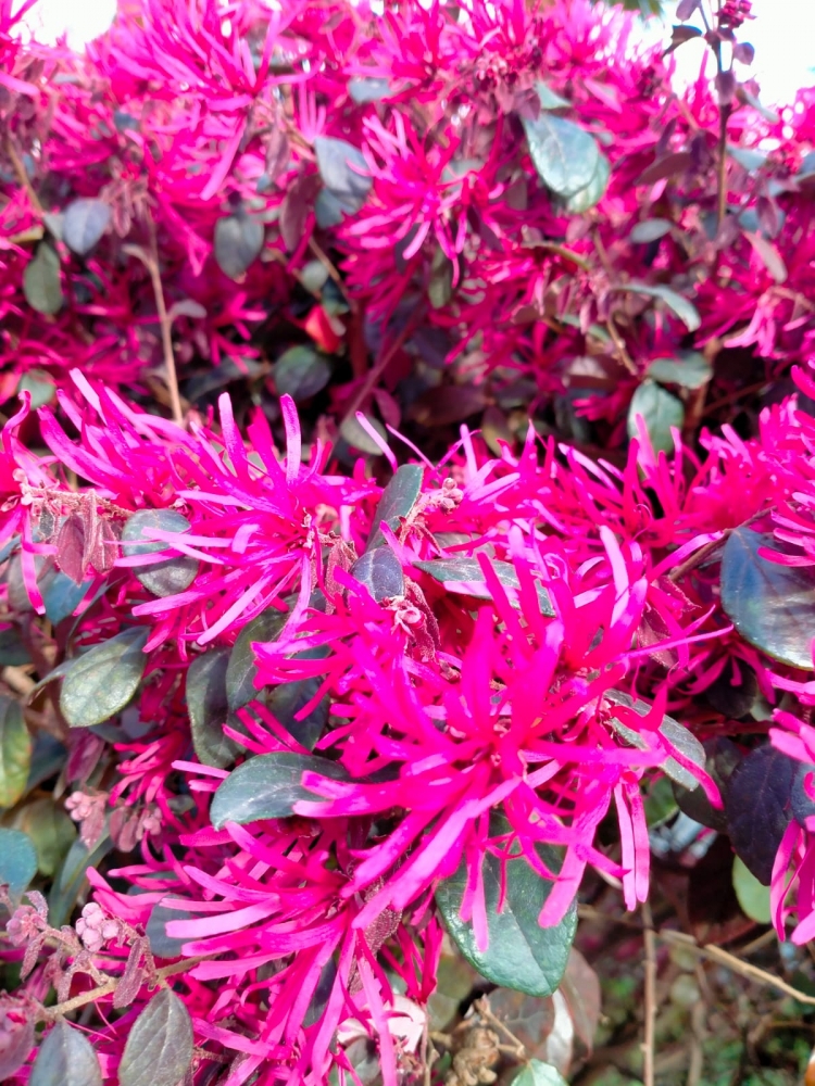 Весна на Бали, фото 6 Весна на Бали, фото 6