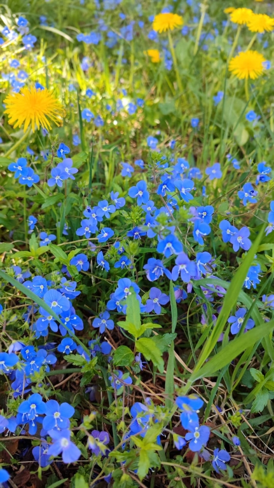 Краски весны, фото 15