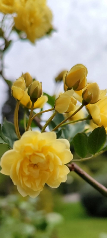 Весна на Бали, фото 4 Весна на Бали, фото 4