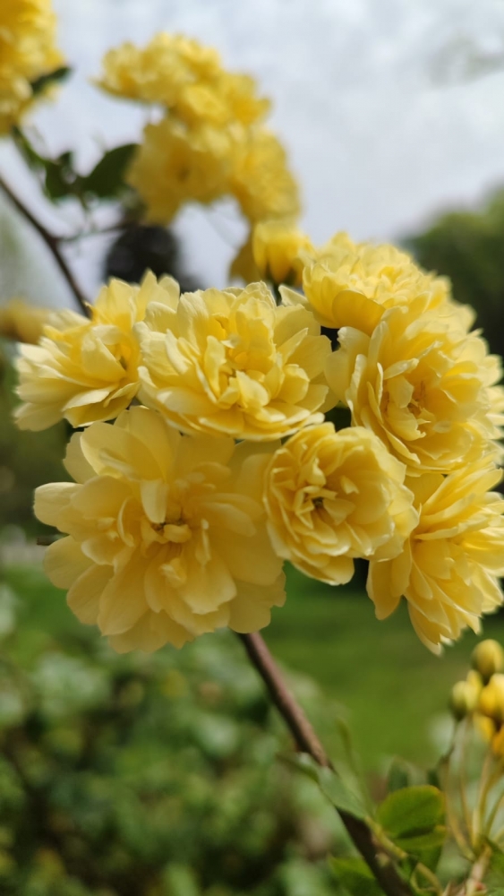 Весна на Бали, фото 2 Весна на Бали, фото 2