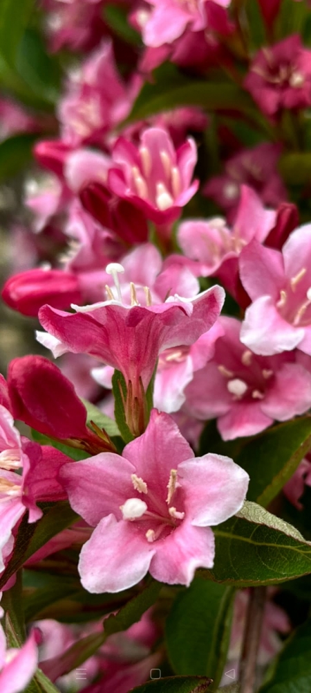 Весна на Бали, фото 9 Весна на Бали, фото 9