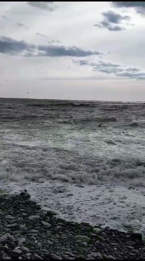 И снова море..., фото 4