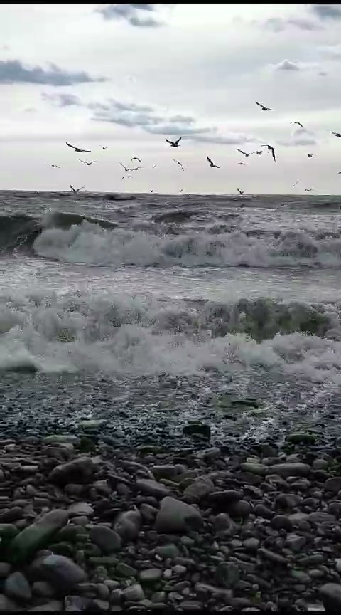 И снова море..., фото 3