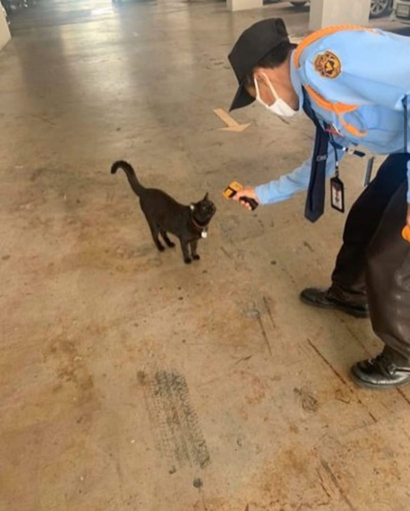 Коронавирус приколы, подборка смешных картинок, фото 14 Коронавирус приколы, подборка смешных картинок, фото 14