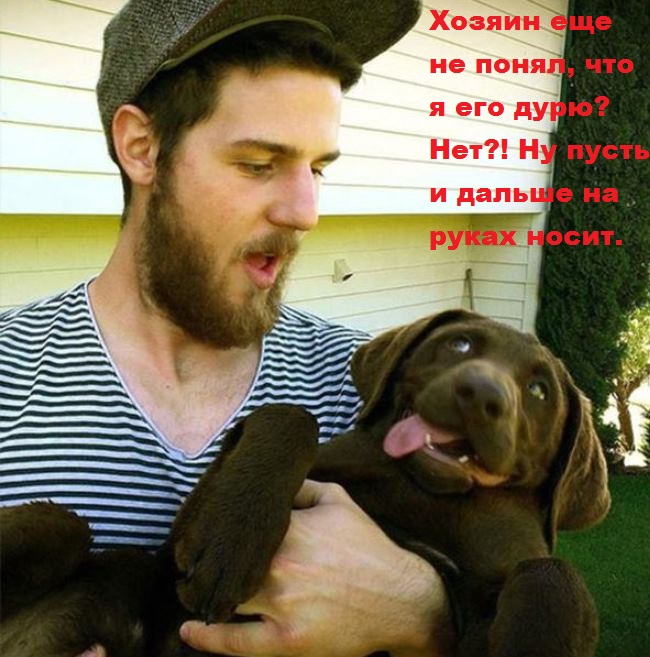 И снова наши братья меньшие!, фото 13 И снова наши братья меньшие!, фото 13
