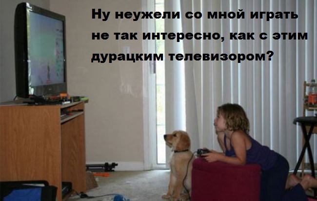 И снова наши братья меньшие!, фото 2 И снова наши братья меньшие!, фото 2