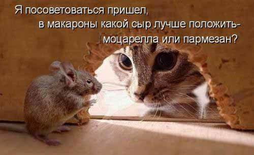 Картинки с надписями Прикольные!, фото 4