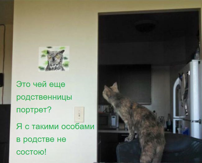 И снова наши братья меньшие!, фото 6 И снова наши братья меньшие!, фото 6