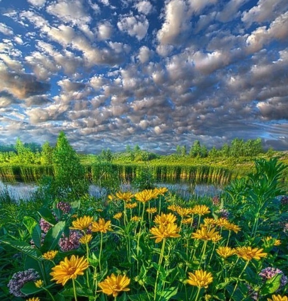 Открытки Лето-прекрасная пора, фото 8 Открытки Лето-прекрасная пора, фото 8