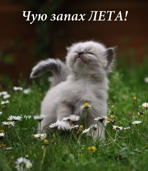 Открытки с переменами время года, фото 17