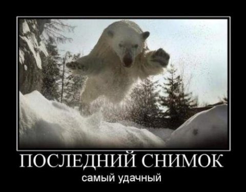 Прикольные картинки о животных!, фото 23