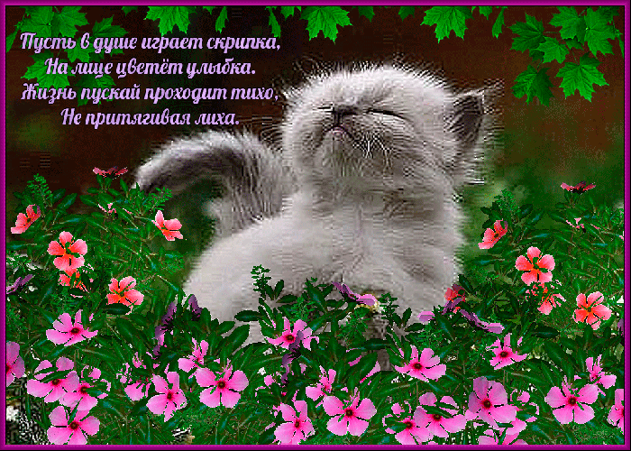 Открытки с пожеланиями , фото 1 Открытки с пожеланиями , фото 1