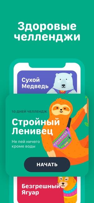 Трекер воды Waterllama вода