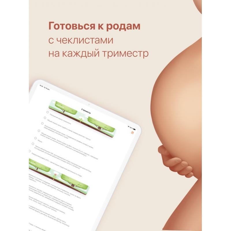 Календарь по беременности и родам. Календарь беременности. Календарь беременности с виджетом. Календарь беременности и родов.