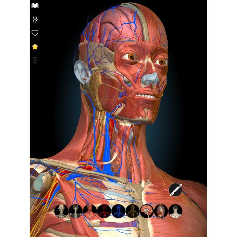 Anatomy learning 3d