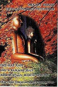 Экхарт Толе. Сила настоящего мгновения. Тит Нат Хан. Мир в каждом шаге. Живой Будда, живой Христос - Экхарт Толе, Тит Нат Хан