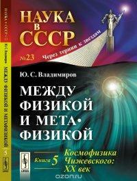 Между физикой и метафизикой. Космофизика Чижевского. XX век - Ю. С. Владимиров