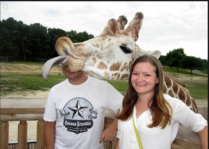  Смешные картинки и мемы о животных, фото 2