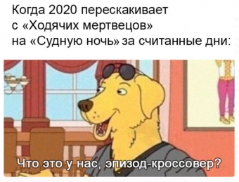 15 веселых мемов связанных с 2020 годом