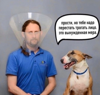 Ржачные приколы про коронавирус