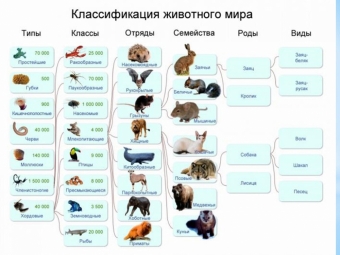 Вчера нашли в тайге неизвестную особь