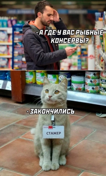 Шуточки и мемы для вас. 4 часть