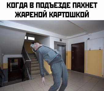 Мэмы. 1 часть