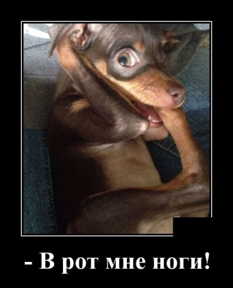 Разные мемы. 2 часть