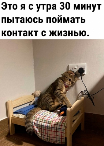 Шуточки и мемы для вас. 17 часть