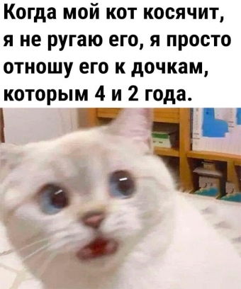 Хорошее настроение - это мемы 