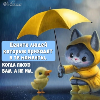 Тысячи открыток и поздравлений. 26 часть.