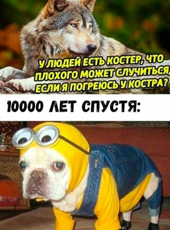 Мемы и приколы для настроения. 2 часть