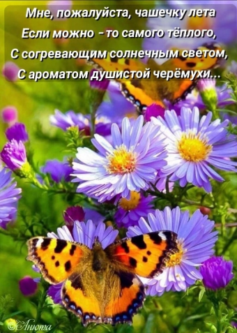 Тысячи открыток и поздравлений. 28 часть.