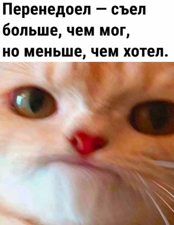 Мэмы. 3 часть 