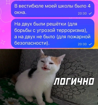 Шуточки и мемы для вас. 5 часть