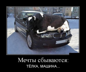 Демотиваторы про автолюбителей