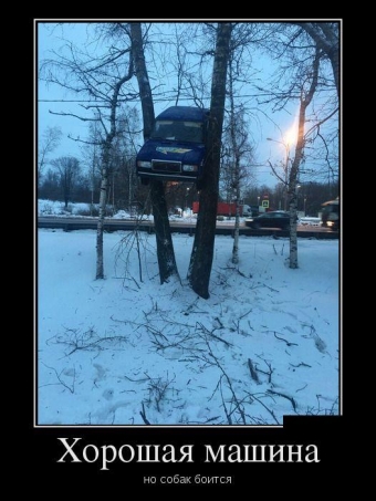 Прикольные демотиваторы про авто.