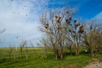 Весеннее настроение