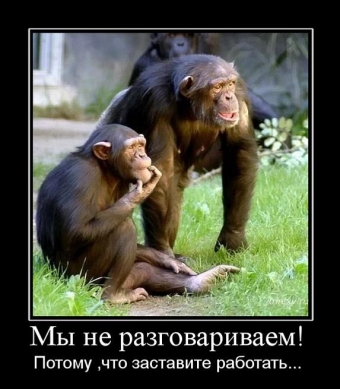Осторожно, обезьянки - смешные демотиваторы про обезьян